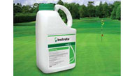 Multi-action fungicide to tackle changeable conditions