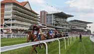 Educational Day At York Racecourse