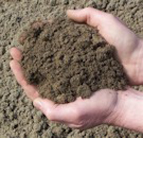Rufford / ProSport Amenity Grade Rootzone/Screened Soil